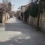 Zeki