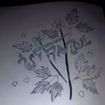 Kadir
