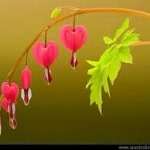 Sinem