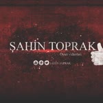 Şahin