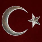 Nur