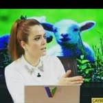 Pelin