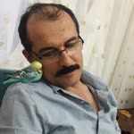 İsmail