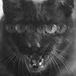 Onur