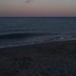 Büşa