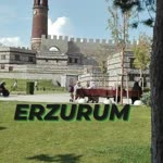 Yavuz