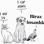 Cem