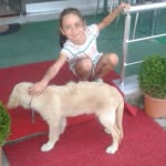 Asya