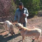 Murat