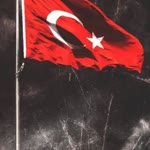 Damla