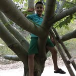 Habib