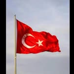 Erdal