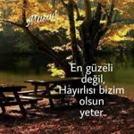 Aysun