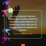 Salih