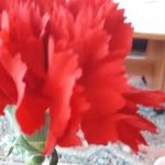 Kadir