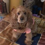 Zeynep