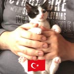 Çiğdem