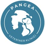 Pangea
