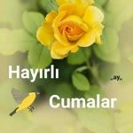 Leyla