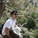 Veysel