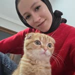 Zehra