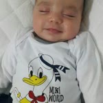 Orhan