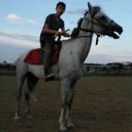 Kaan