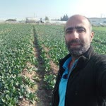 Mahmut
