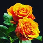 Fatma