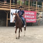 Mustafa