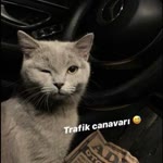 Berkan