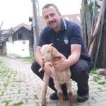 Musti
