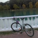 Sevgi