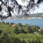 Binnur