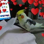 Profil fotoğrafı