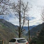 Kamil