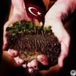 Doğan