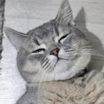 Erhan