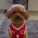 Derviş