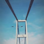 Halenur