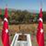 Ebubekir
