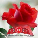 İsmail