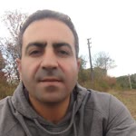 Ali