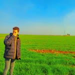 Yusuf