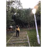 Nurgül