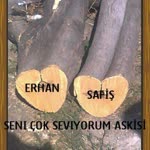 Safiye