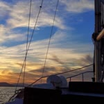 Engin