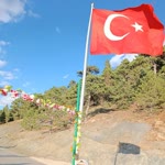 Pinar