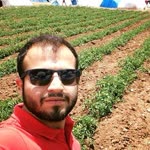 İdris