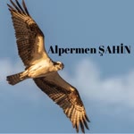Alpermen